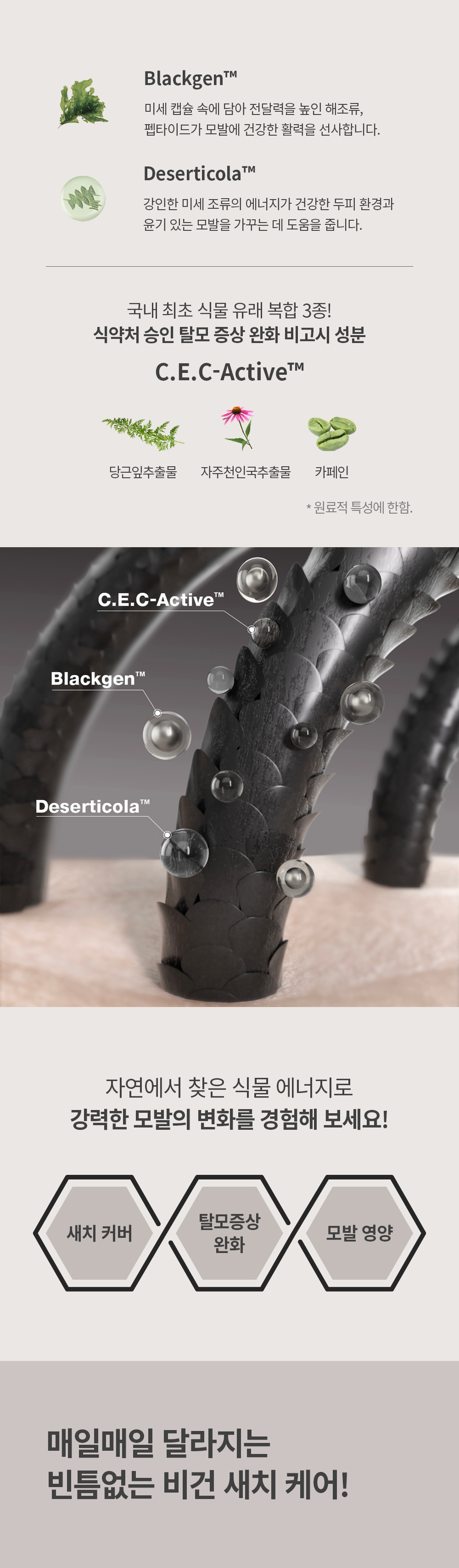 blackset-3.jpg